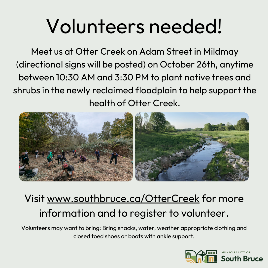 South Bruce Otter Creek Reclamation - Call for volunteers